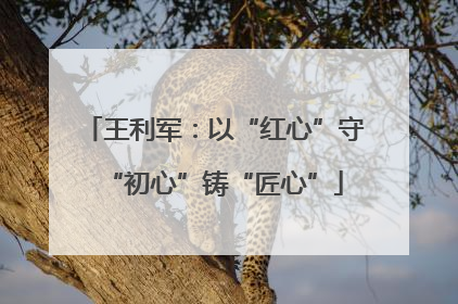 王利军：以“红心”守“初心”铸“匠心”