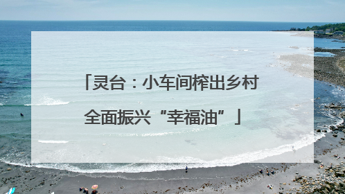 灵台：小车间榨出乡村全面振兴“幸福油”