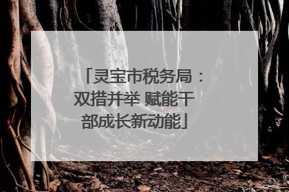 灵宝市税务局：双措并举 赋能干部成长新动能