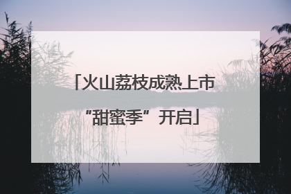 火山荔枝成熟上市 “甜蜜季”开启