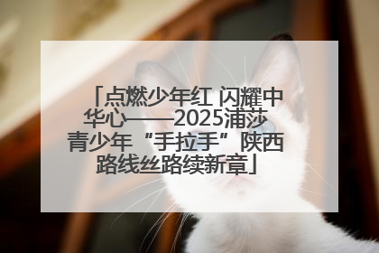 点燃少年红 闪耀中华心——2025浦莎青少年“手拉手”陕西路线丝路续新章