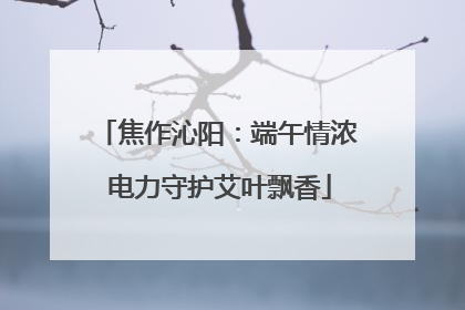 焦作沁阳：端午情浓 电力守护艾叶飘香