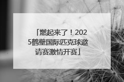 燃起来了！2025鹤壁国际匹克球邀请赛激情开赛