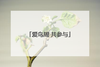 爱鸟周 共参与
