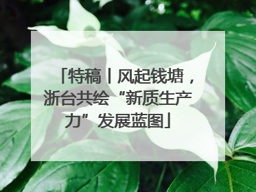 特稿丨风起钱塘，浙台共绘“新质生产力”发展蓝图