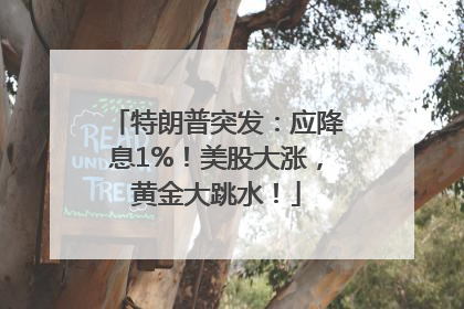 特朗普突发：应降息1%！美股大涨，黄金大跳水！