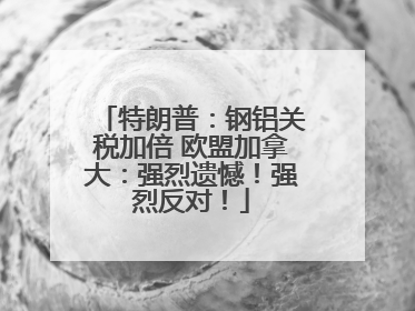 特朗普：钢铝关税加倍 欧盟加拿大：强烈遗憾！强烈反对！