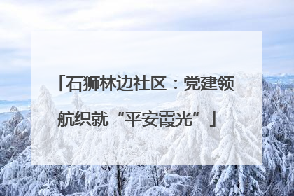 石狮林边社区：党建领航织就“平安霞光”