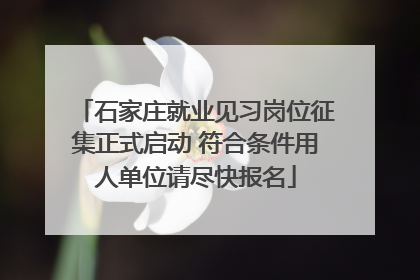 石家庄就业见习岗位征集正式启动 符合条件用人单位请尽快报名