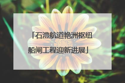 石澧航道艳洲枢纽船闸工程迎新进展