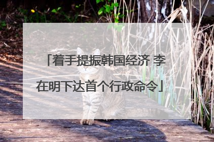 着手提振韩国经济 李在明下达首个行政命令