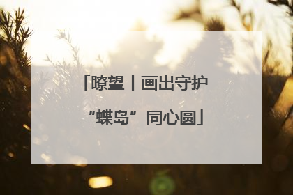 瞭望丨画出守护“蝶岛”同心圆