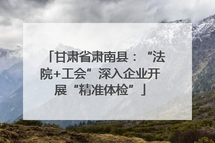 甘肃省肃南县：“法院+工会”深入企业开展“精准体检”