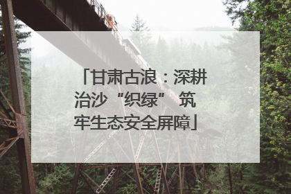 甘肃古浪：深耕治沙“织绿” 筑牢生态安全屏障