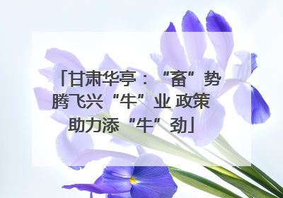 甘肃华亭：“畜”势腾飞兴“牛”业 政策助力添“牛”劲