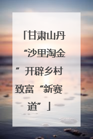甘肃山丹“沙里淘金”开辟乡村致富“新赛道”