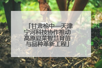 甘肃榆中—天津宁河科技协作推动高原夏菜智慧育苗与品种革新工程