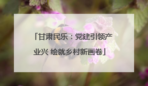 甘肃民乐：党建引领产业兴 绘就乡村新画卷
