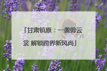 甘肃镇原：一袭剪云裳 解锁跨界新风尚
