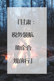 甘肃：税务领航 助企合规前行