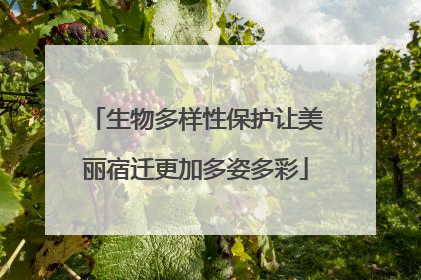生物多样性保护让美丽宿迁更加多姿多彩