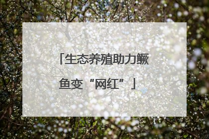 生态养殖助力鳜鱼变“网红”