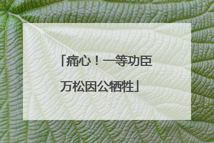 痛心！一等功臣万松因公牺牲