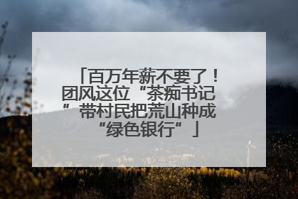 百万年薪不要了！团风这位“茶痴书记”带村民把荒山种成“绿色银行”