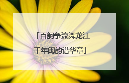 百舸争流舞龙江 千年闽韵谱华章