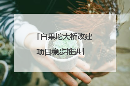 白果坨大桥改建项目稳步推进