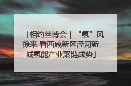 相约丝博会｜“氢”风徐来 看西咸新区泾河新城氢能产业聚链成势