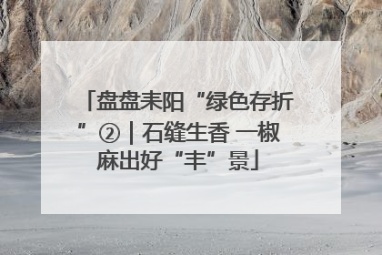 盘盘耒阳“绿色存折”②｜石缝生香 一椒麻出好“丰”景