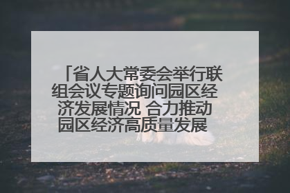 省人大常委会举行联组会议专题询问园区经济发展情况 合力推动园区经济高质量发展 王宁主持会议并讲话 王予波带队到会应询