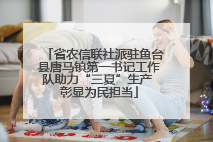 省农信联社派驻鱼台县唐马镇第一书记工作队助力“三夏”生产 彰显为民担当