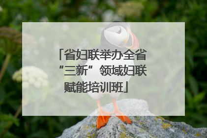 省妇联举办全省“三新”领域妇联赋能培训班