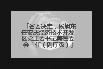 省委决定，杨旭东任安庆经济技术开发区党工委书记兼管委会主任（副厅级）