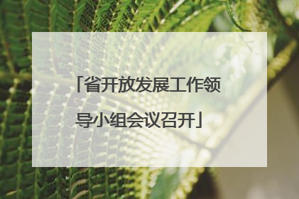 省开放发展工作领导小组会议召开