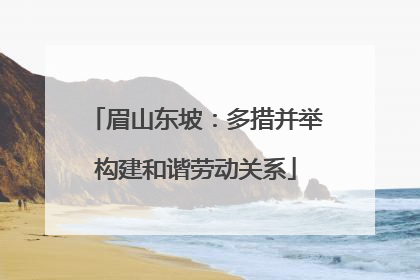 眉山东坡：多措并举构建和谐劳动关系