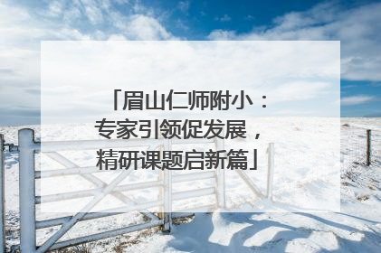眉山仁师附小：专家引领促发展，精研课题启新篇