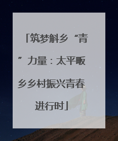 筑梦斛乡“青”力量：太平畈乡乡村振兴青春进行时