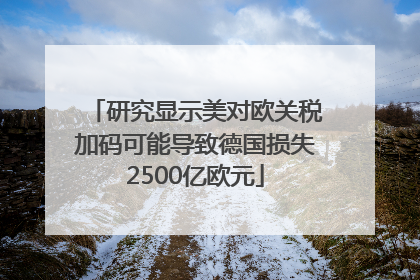 研究显示美对欧关税加码可能导致德国损失2500亿欧元