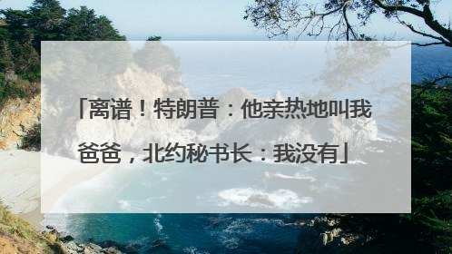 离谱！特朗普：他亲热地叫我爸爸，北约秘书长：我没有