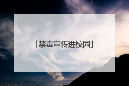 禁毒宣传进校园