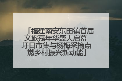 福建南安东田镇首届文旅嘉年华盛大启幕 圩日市集与杨梅采摘点燃乡村振兴新动能