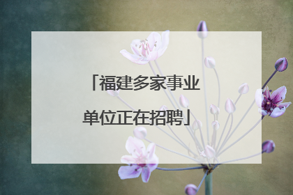 福建多家事业单位正在招聘