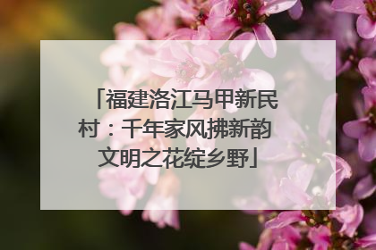 福建洛江马甲新民村：千年家风拂新韵 文明之花绽乡野