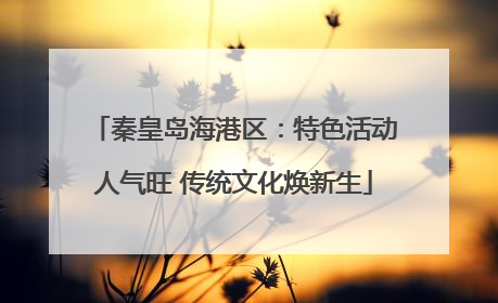 秦皇岛海港区：特色活动人气旺 传统文化焕新生