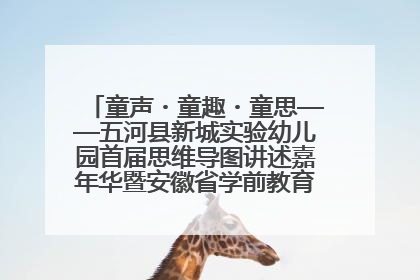 童声・童趣・童思——五河县新城实验幼儿园首届思维导图讲述嘉年华暨安徽省学前教育教研基地园项目阶段性成果展示活动