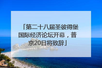 第二十八届圣彼得堡国际经济论坛开幕，普京20日将致辞