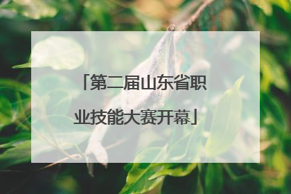 第二届山东省职业技能大赛开幕